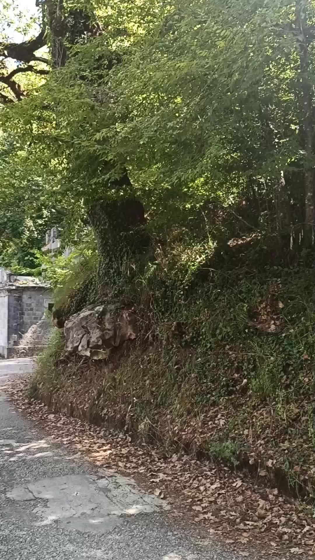 @sto_viaggiando