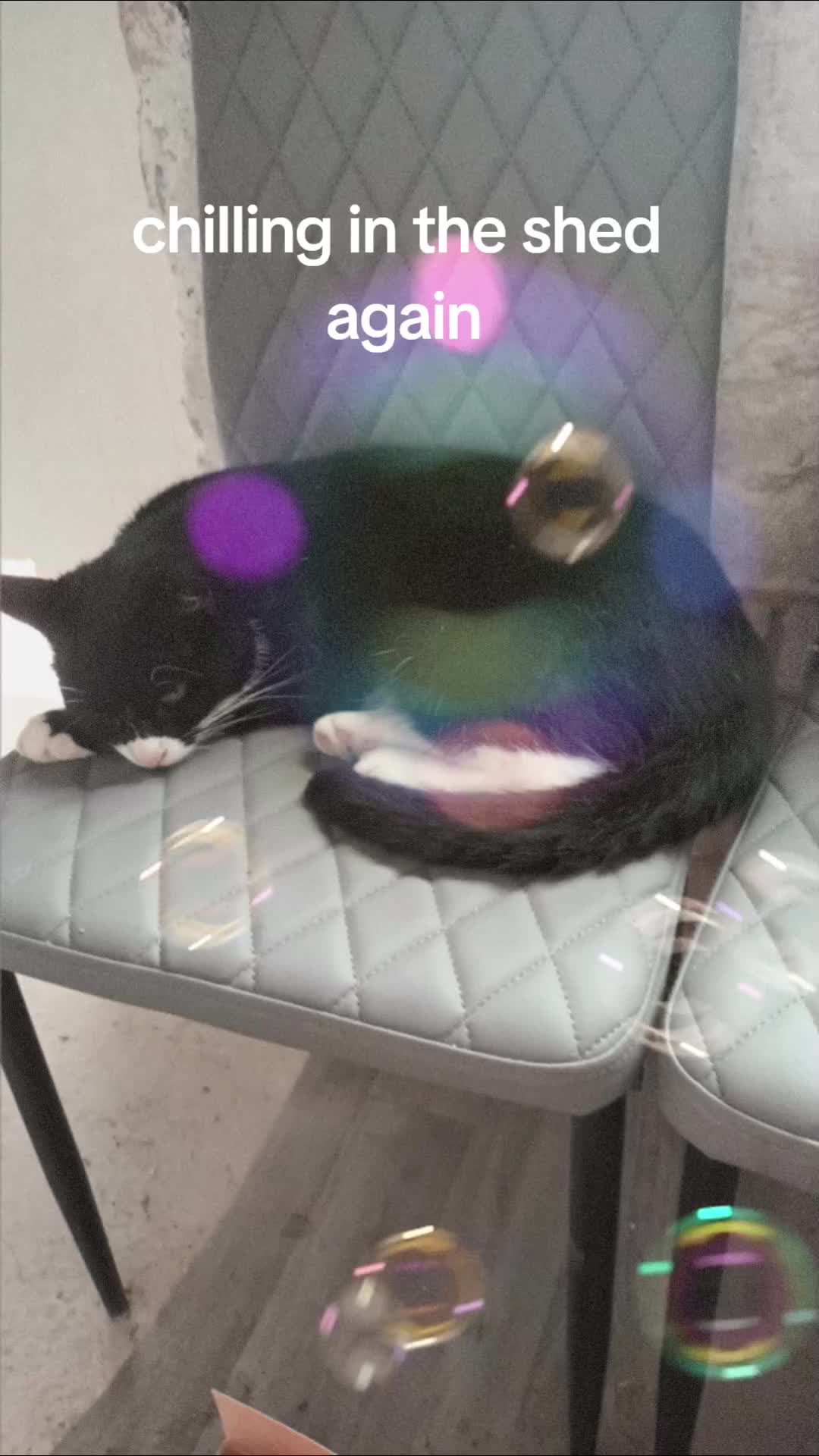 @ben