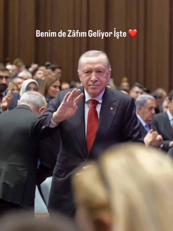@Serdar Kurt