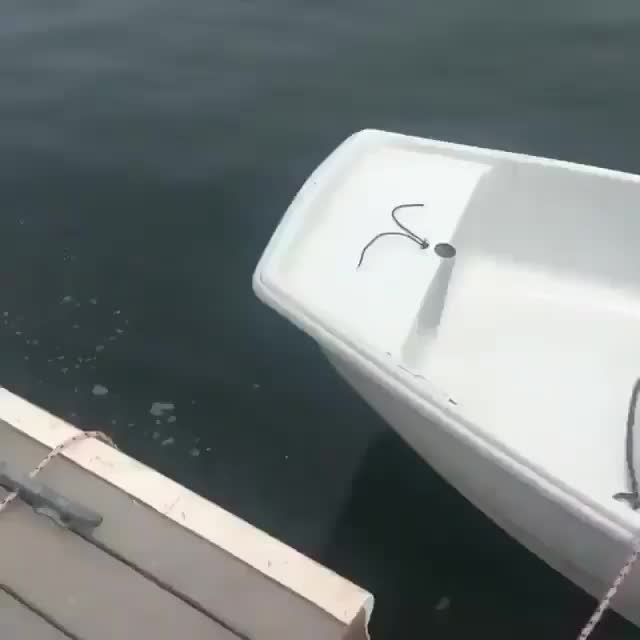 @Ovi