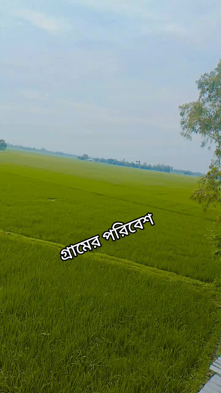 @❤❤️বাবুনি দিশা❤️❤