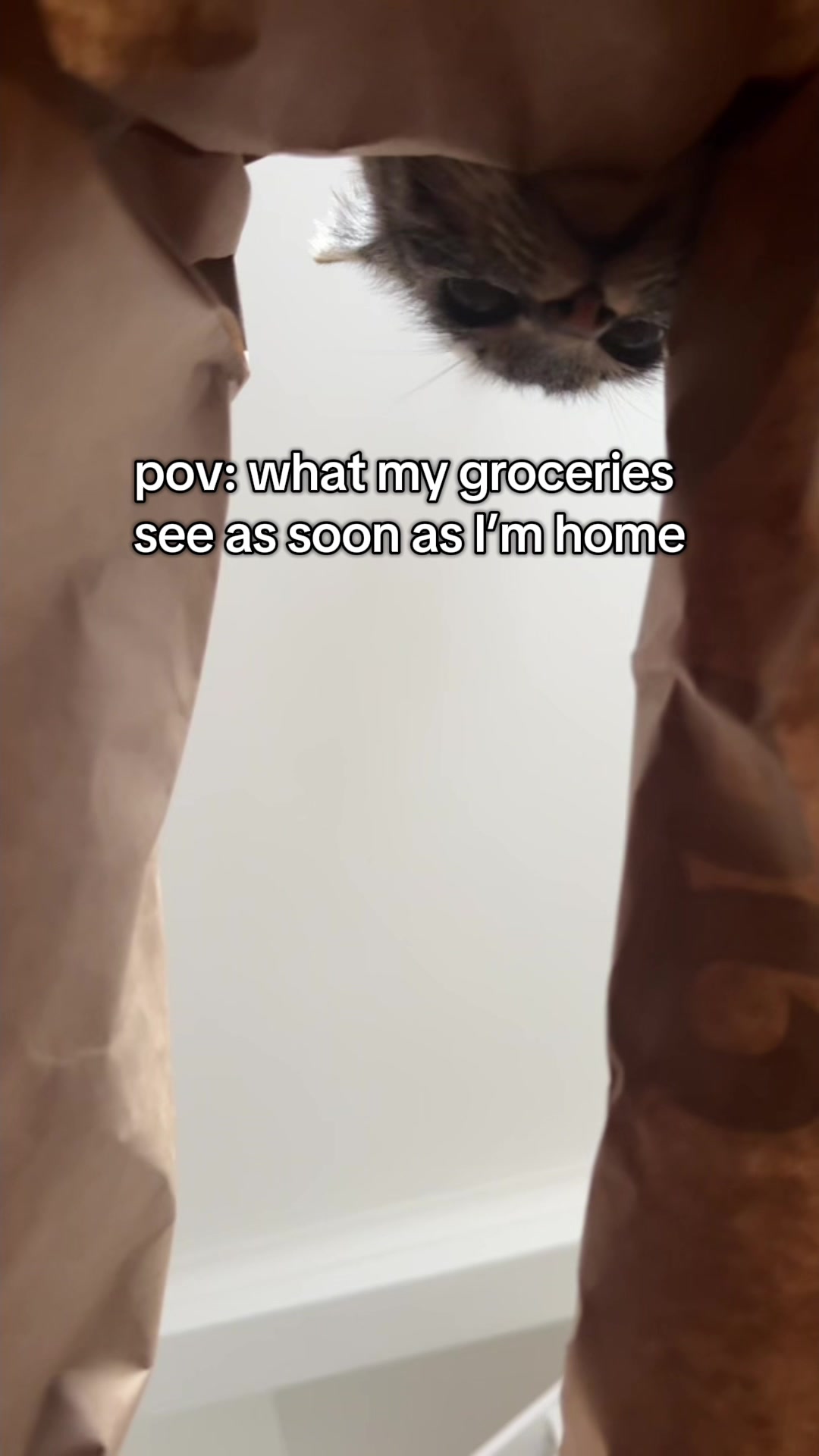 @dobby ft. boba