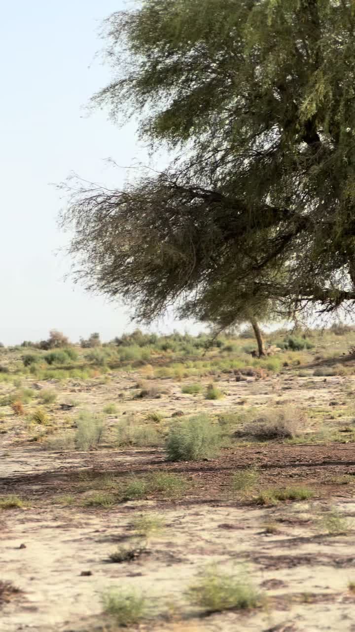@huzaif_085