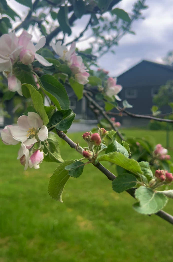 @Tiktok_with_linda
