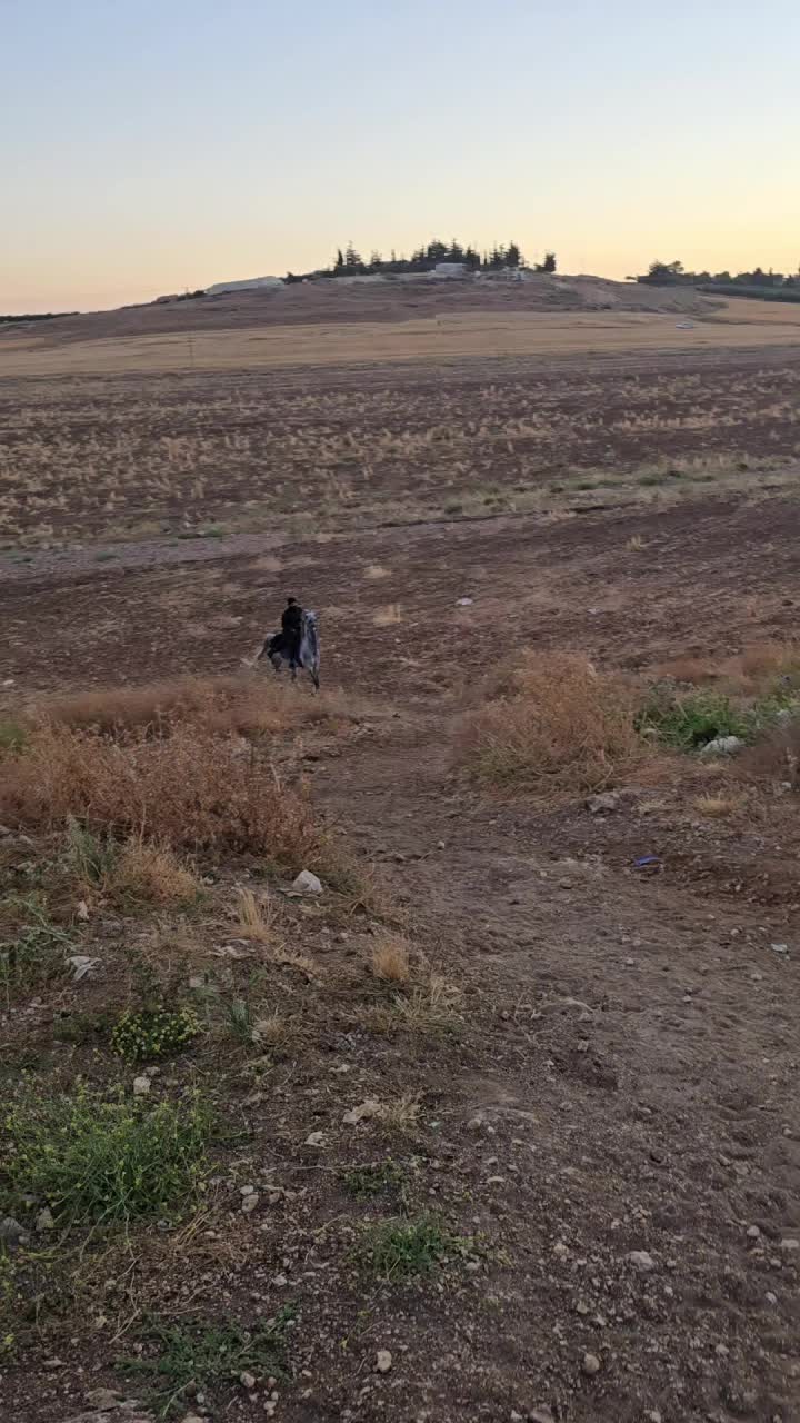 @الفارسة الملثمة 🐎🥷
