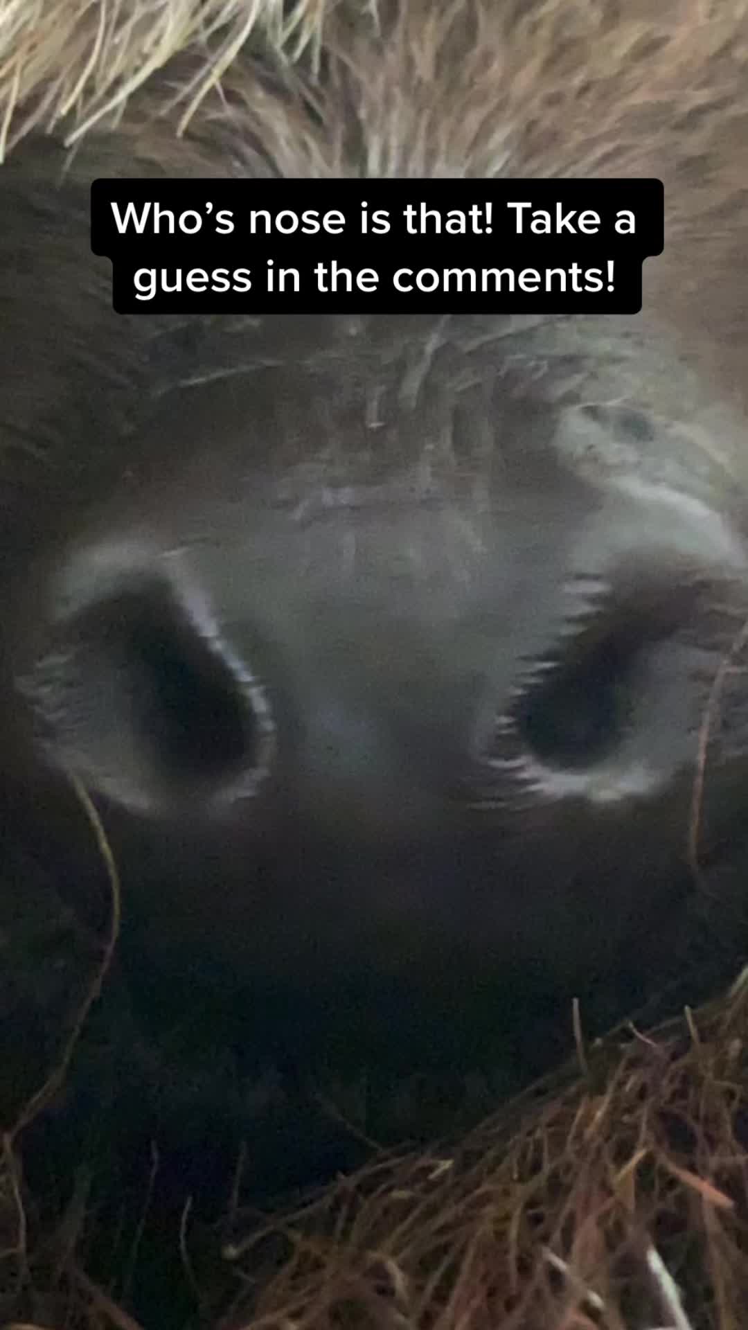 @Nick