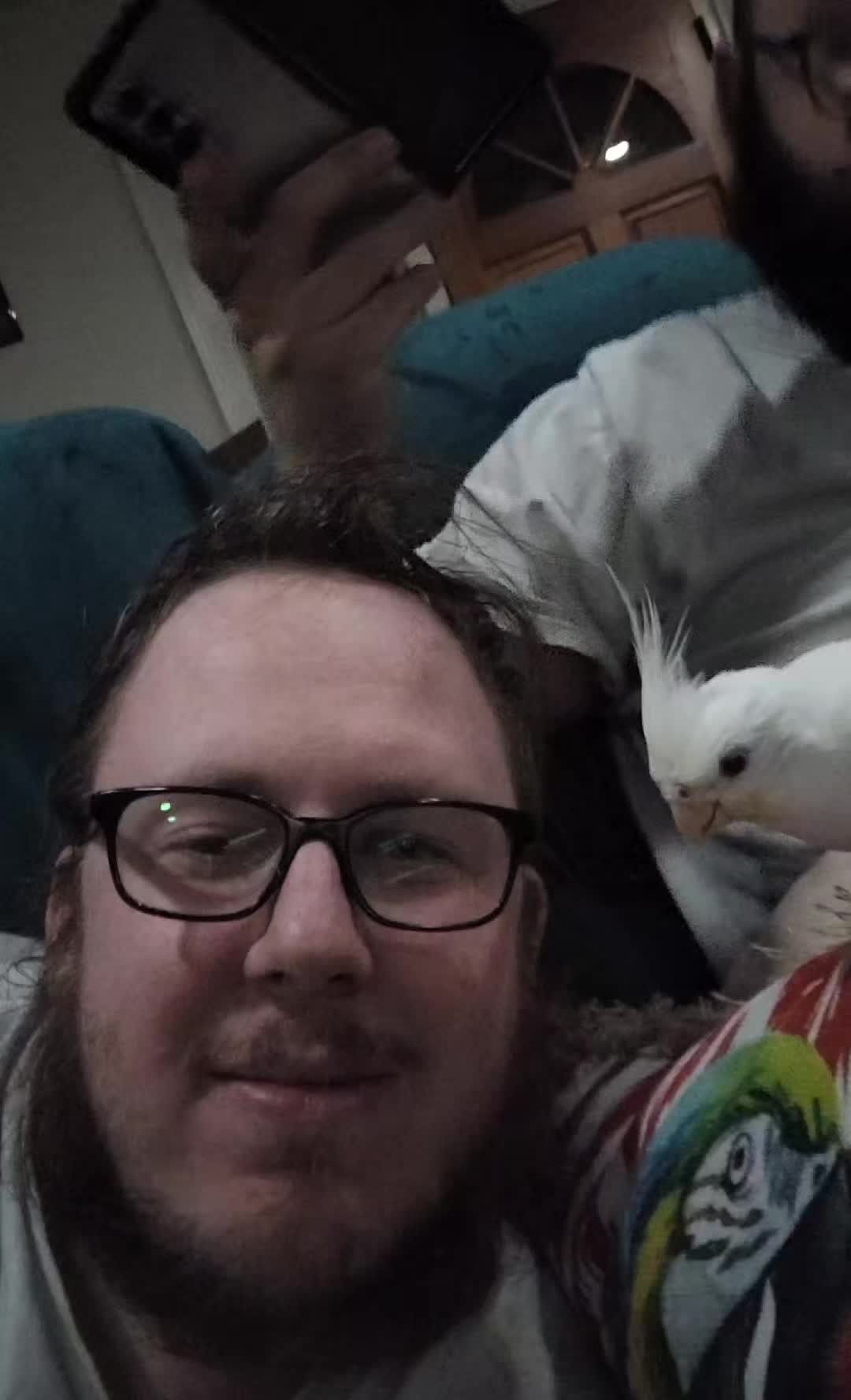 @My Budgie, My Budgie, And Me
