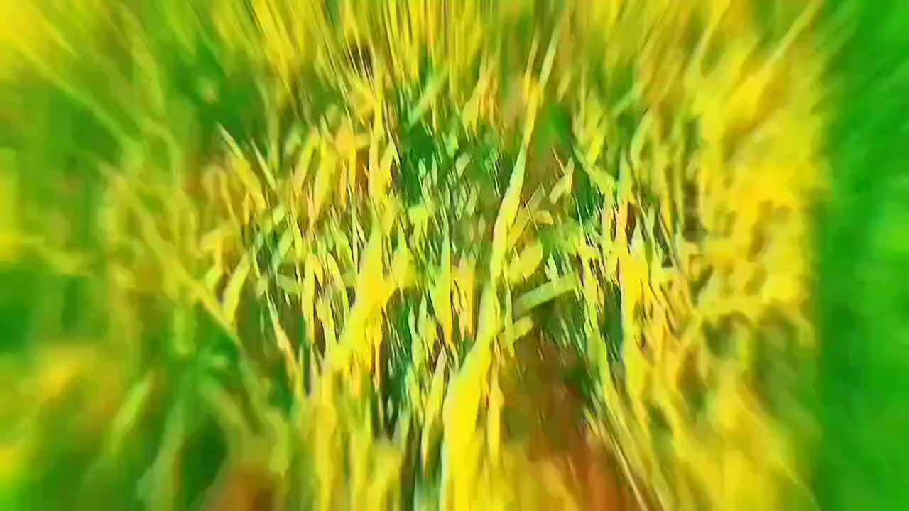 @hey hello🇺🇦