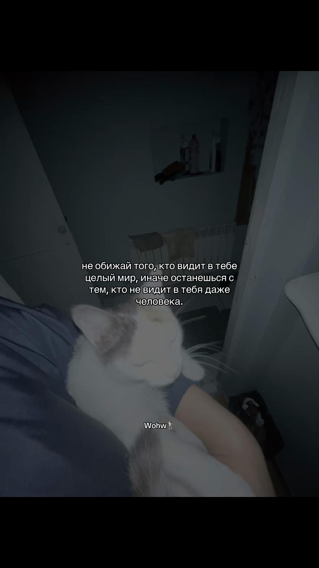 @Wohw๐ง๐ป๐ฆฏ