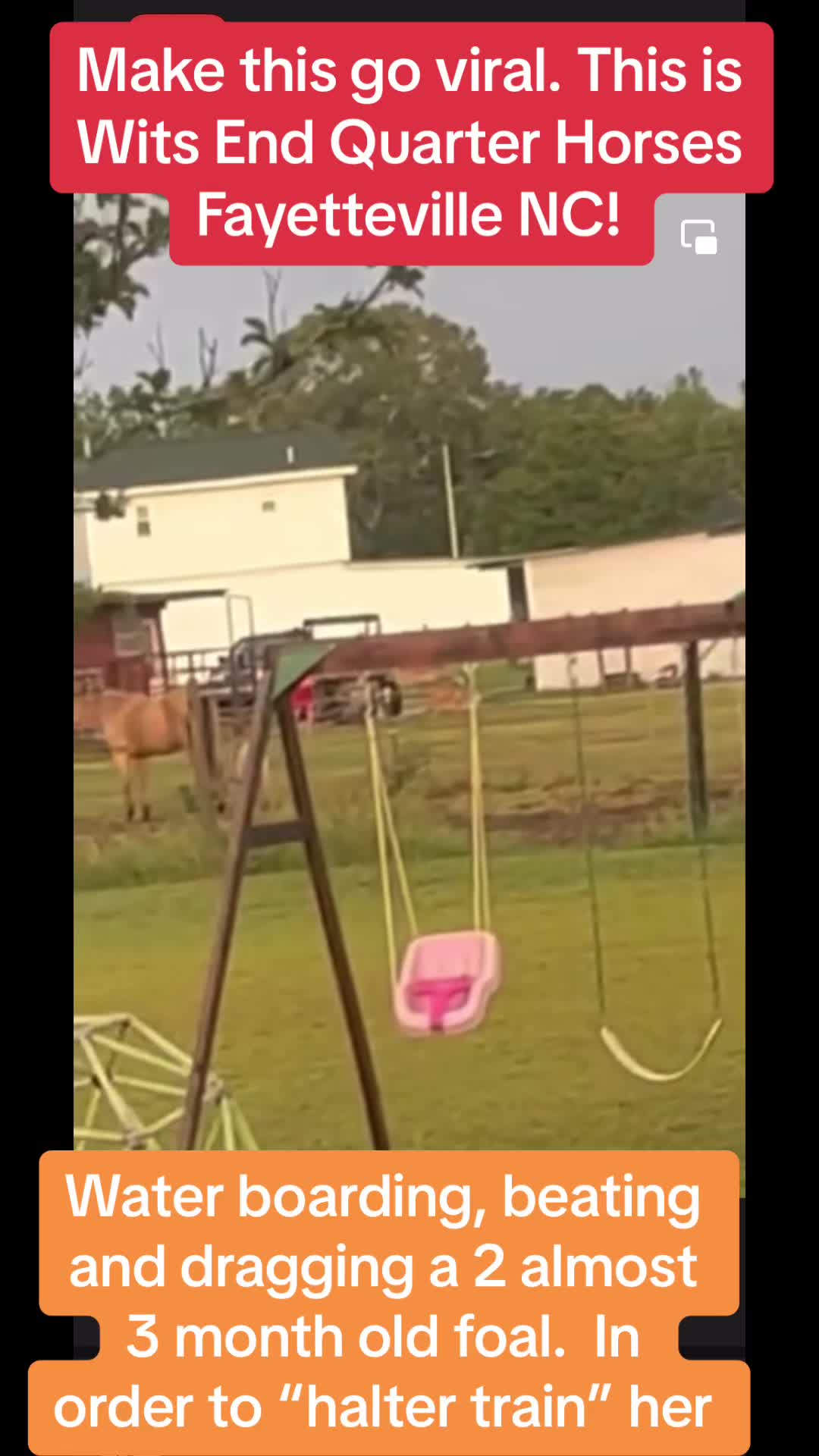 @Horselife