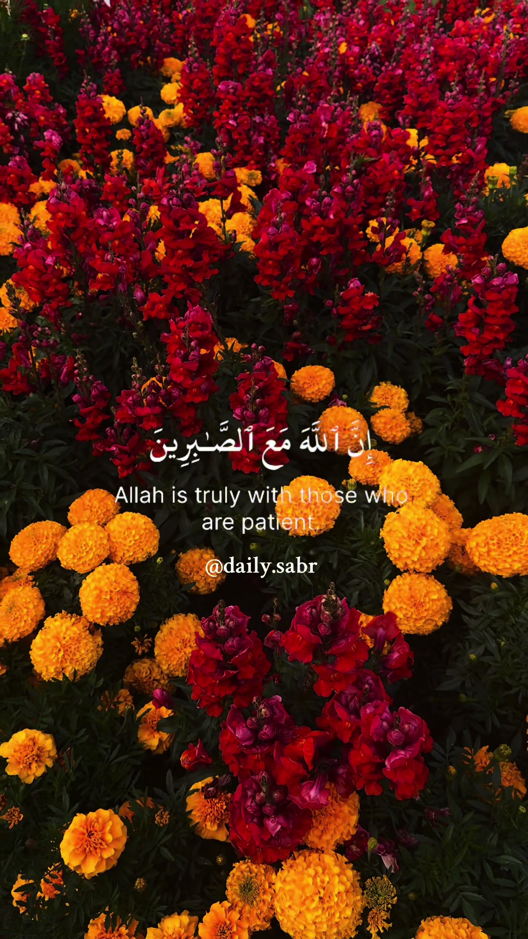 @Daily sabr☕️
