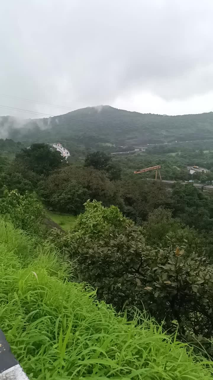 @janhvi 🥰