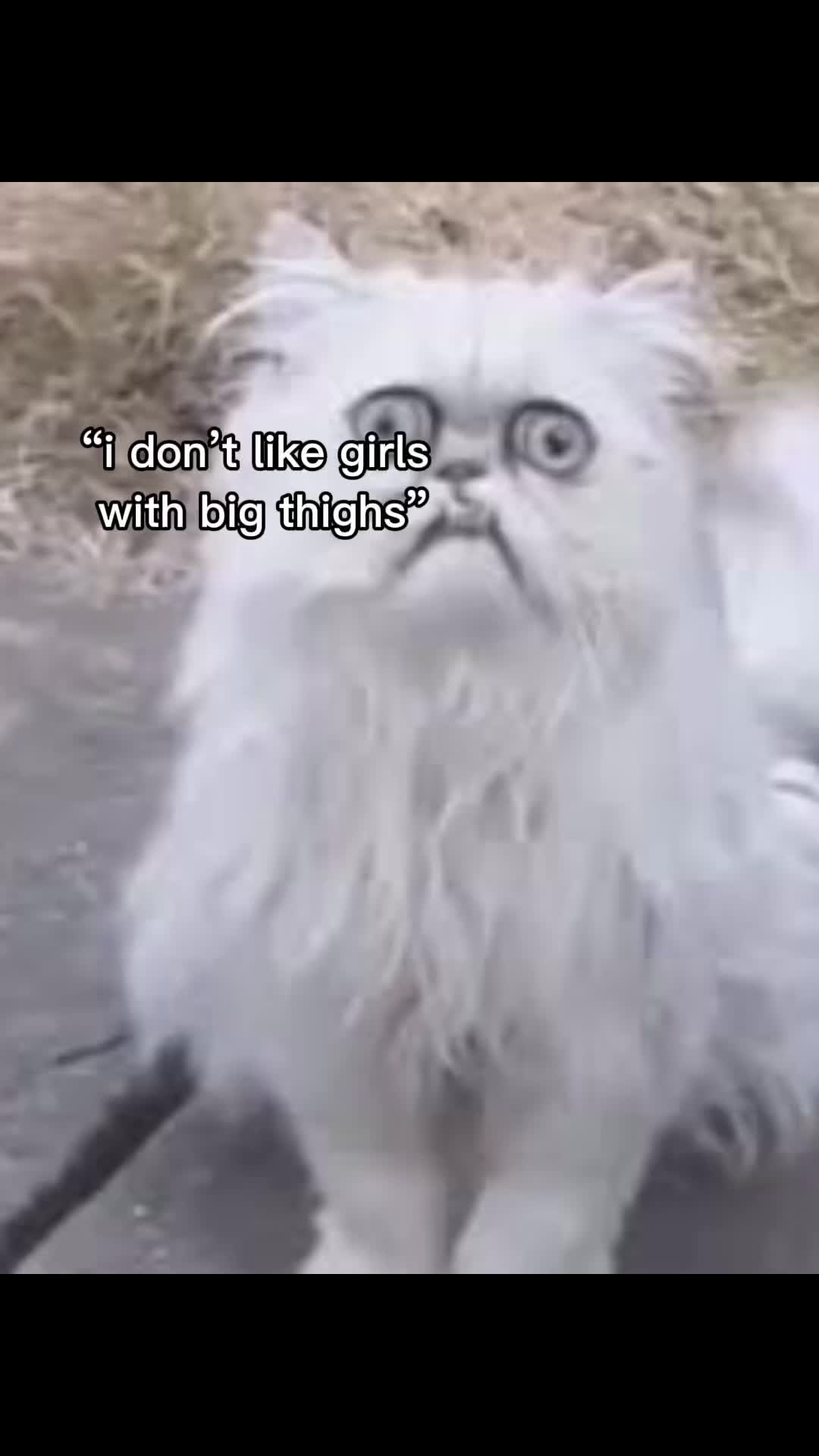 @poopychan666