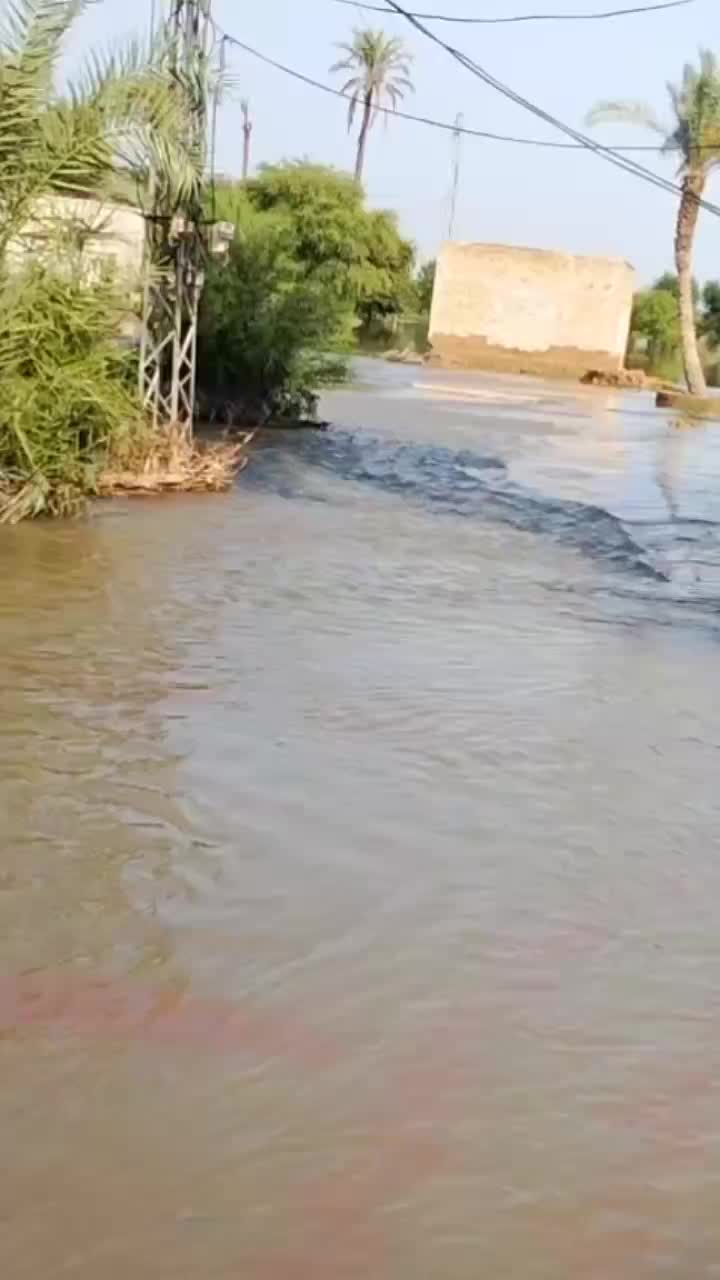 @Kausar Bukhari