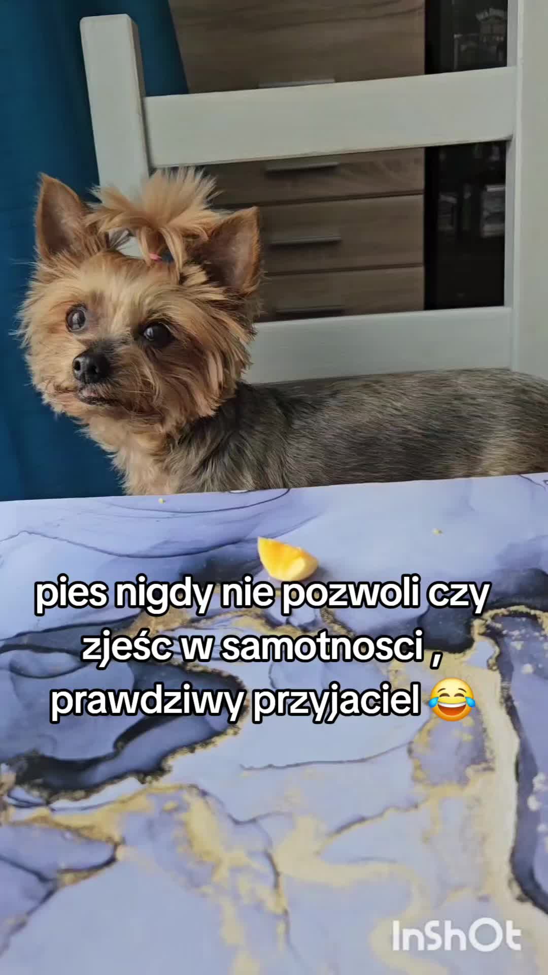 @Ewelina Bednarska