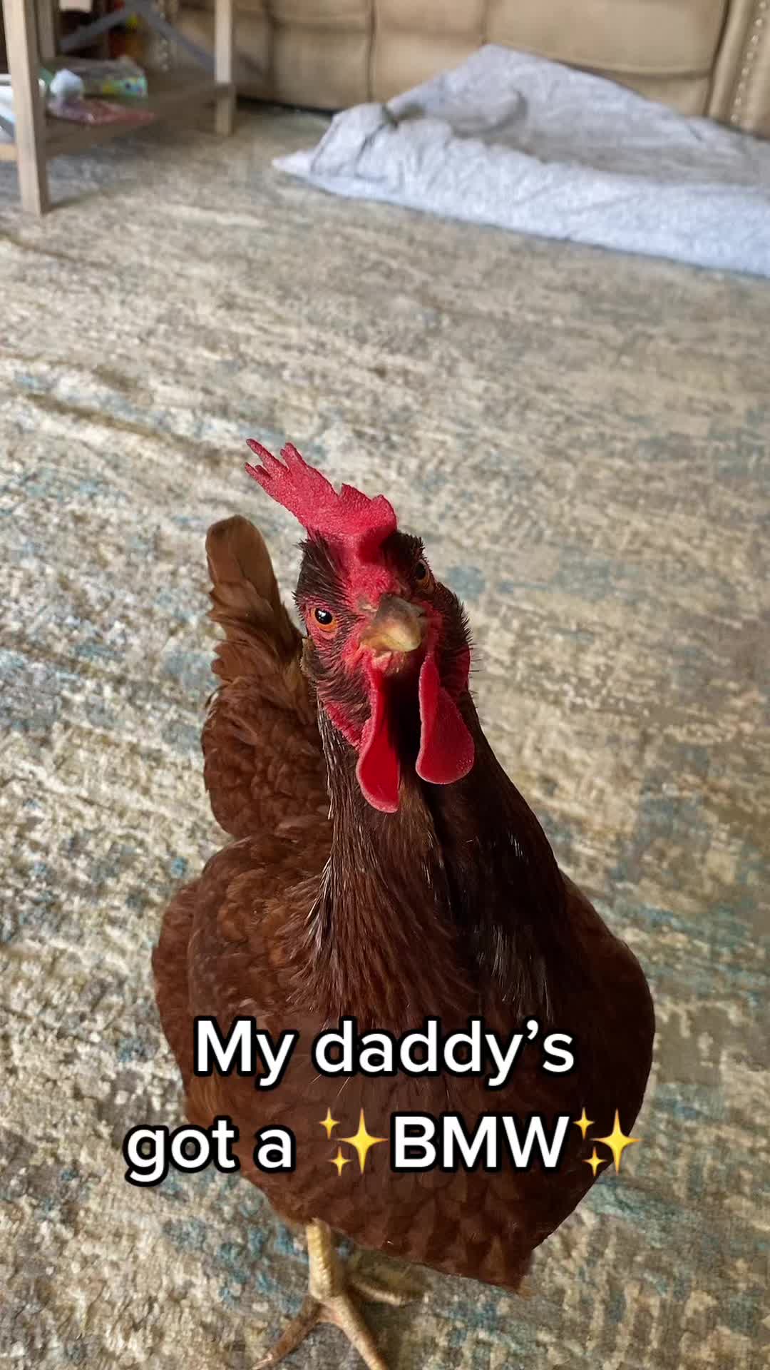 @Seven_mightyhens