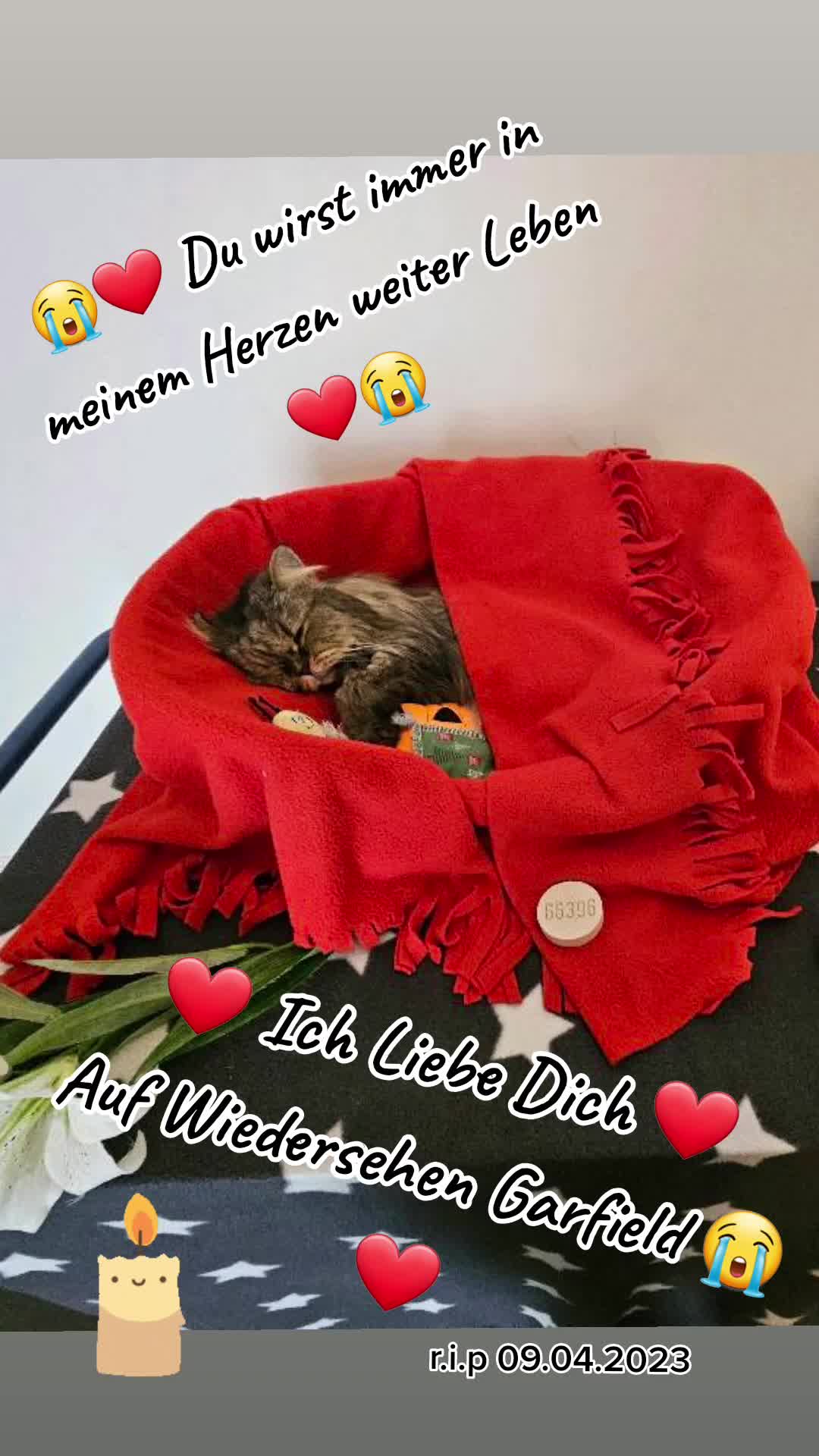 @❤️Janet,Teddy und Blümchen❤️