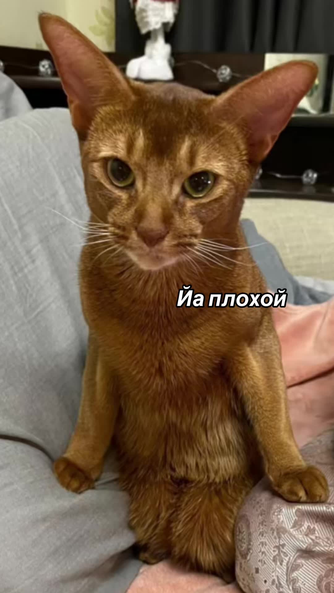 @Годнес
