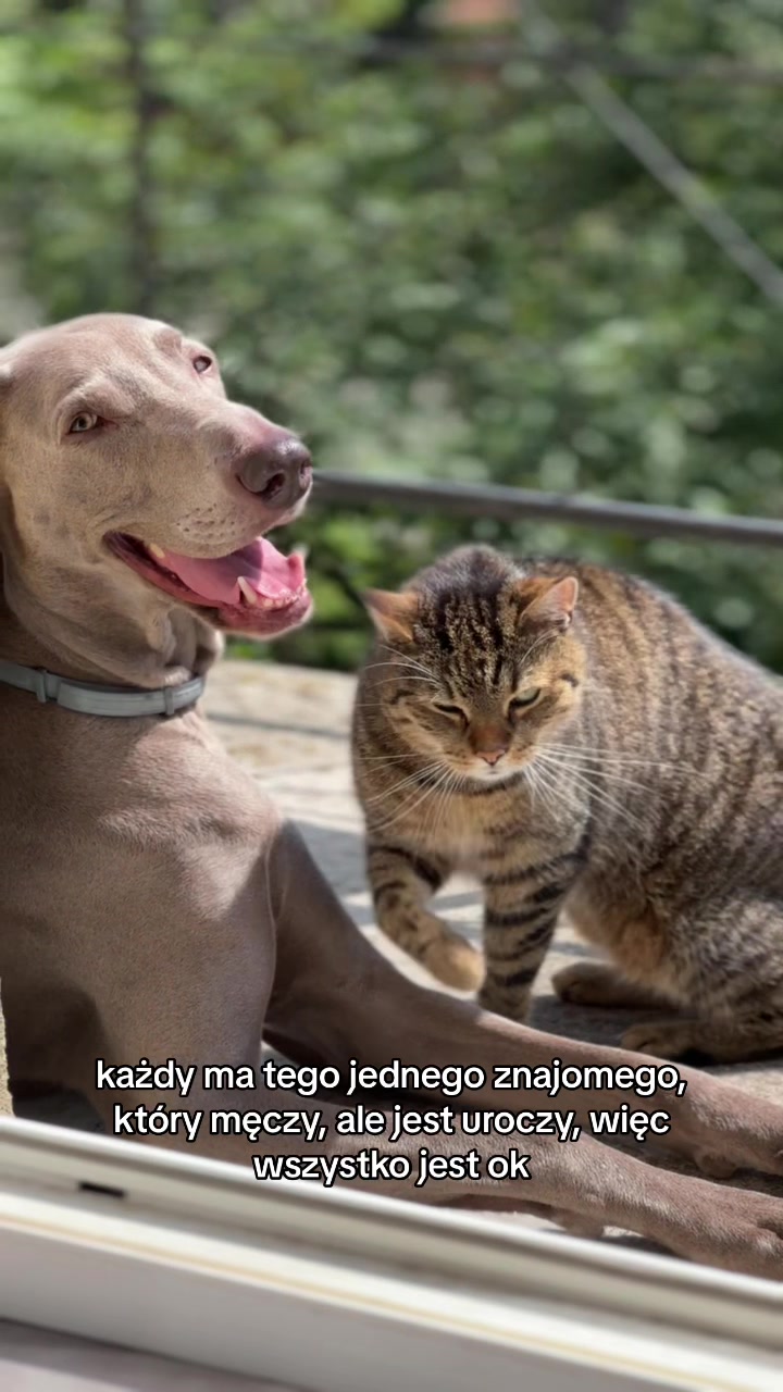 @lola | ig: heydoggyblog