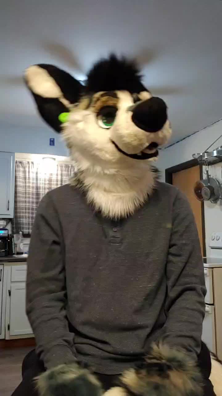 @Ryker_Mutt