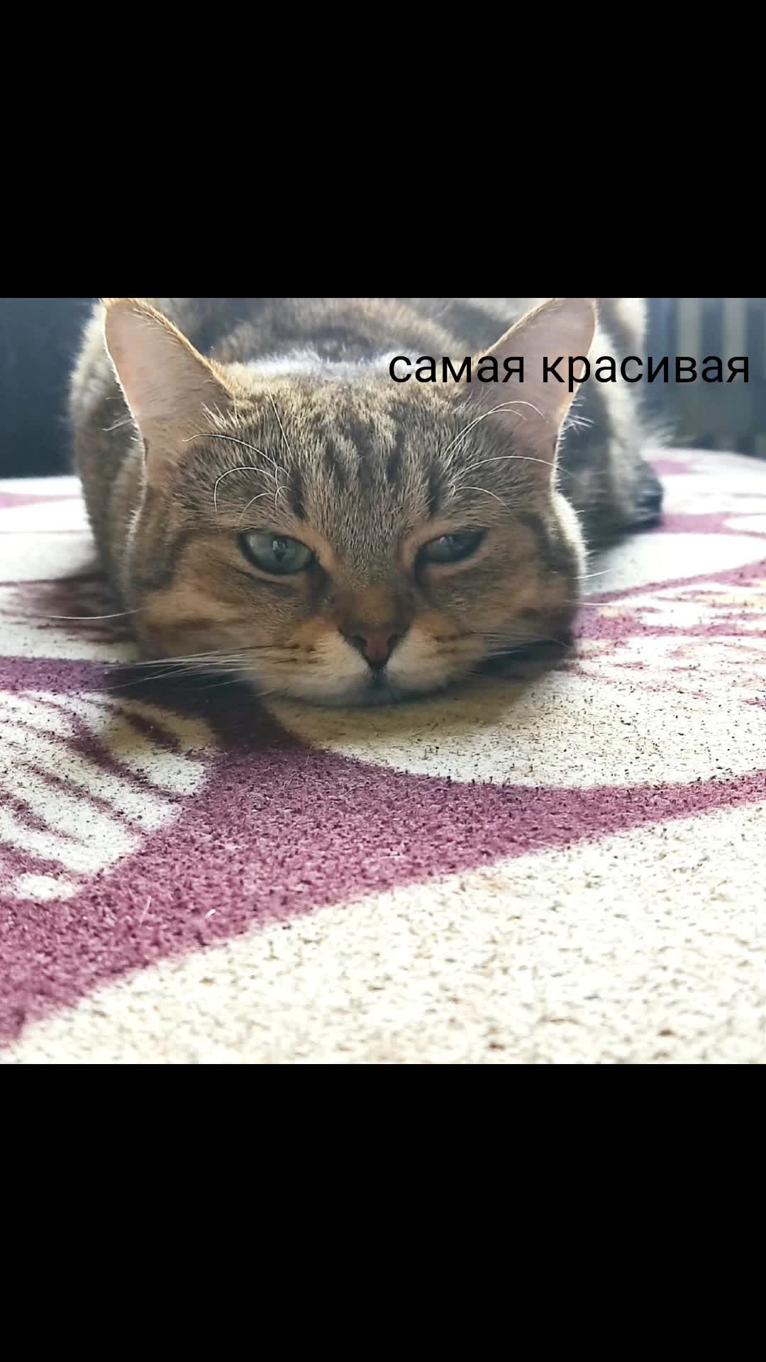 @user59518766451