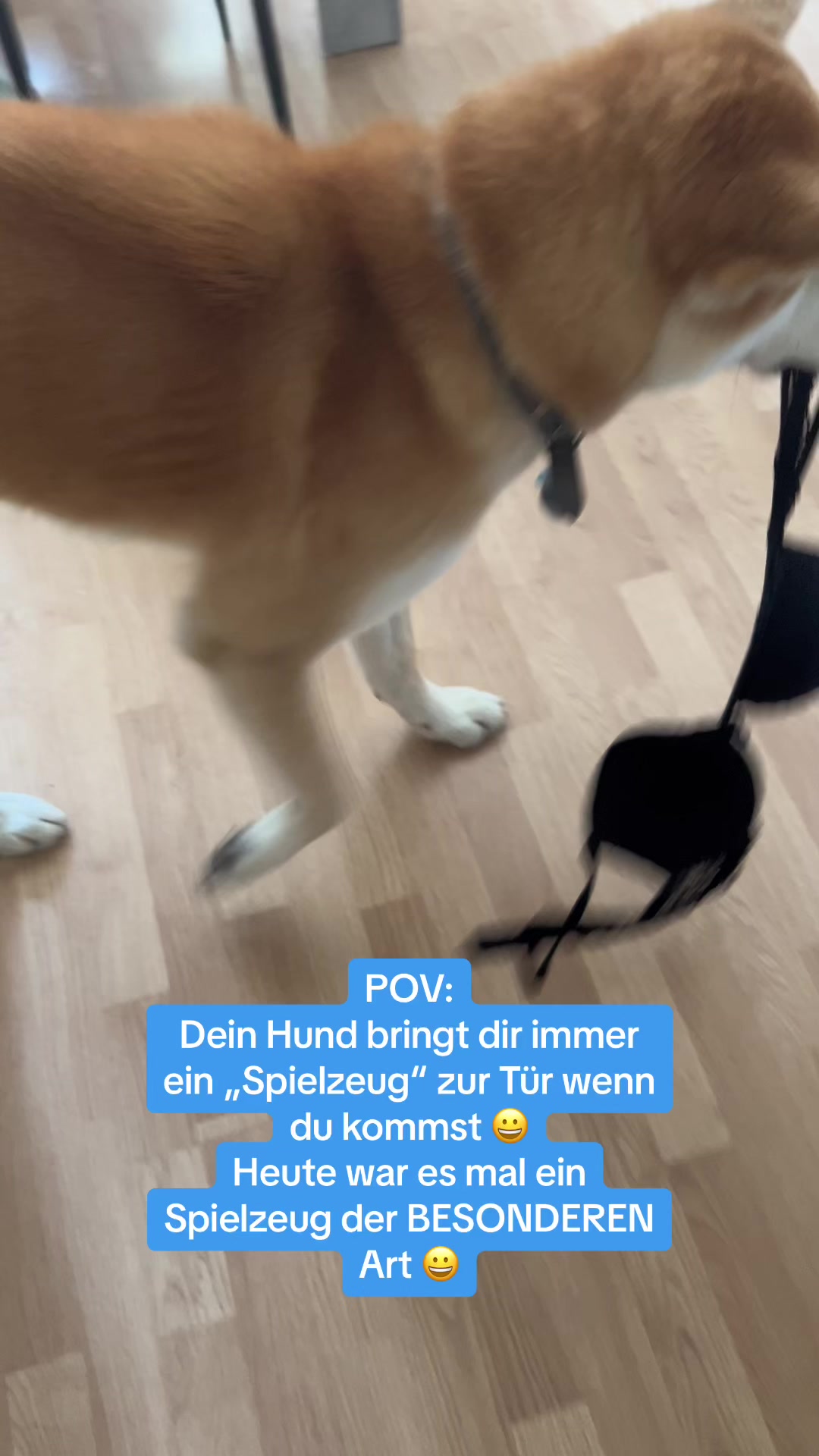 @haushaltsliebe