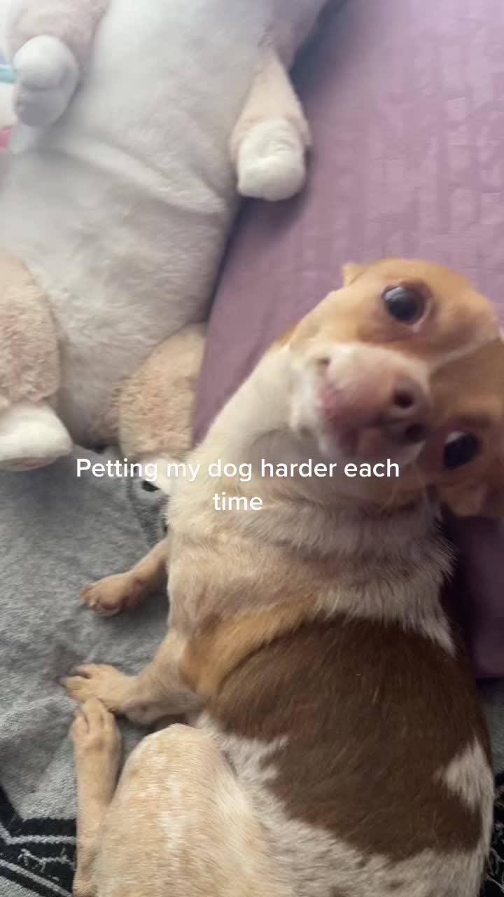 @Bru
