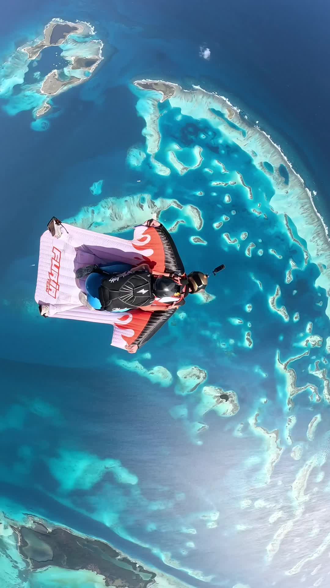 @Carlos Pedro BASE