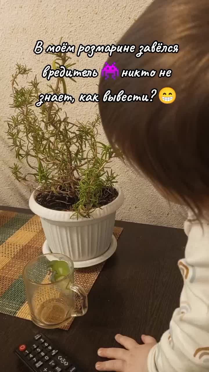 @Елена Дворцова