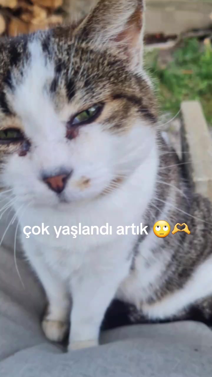 @🍬🍥Şekerpare🍥🍬