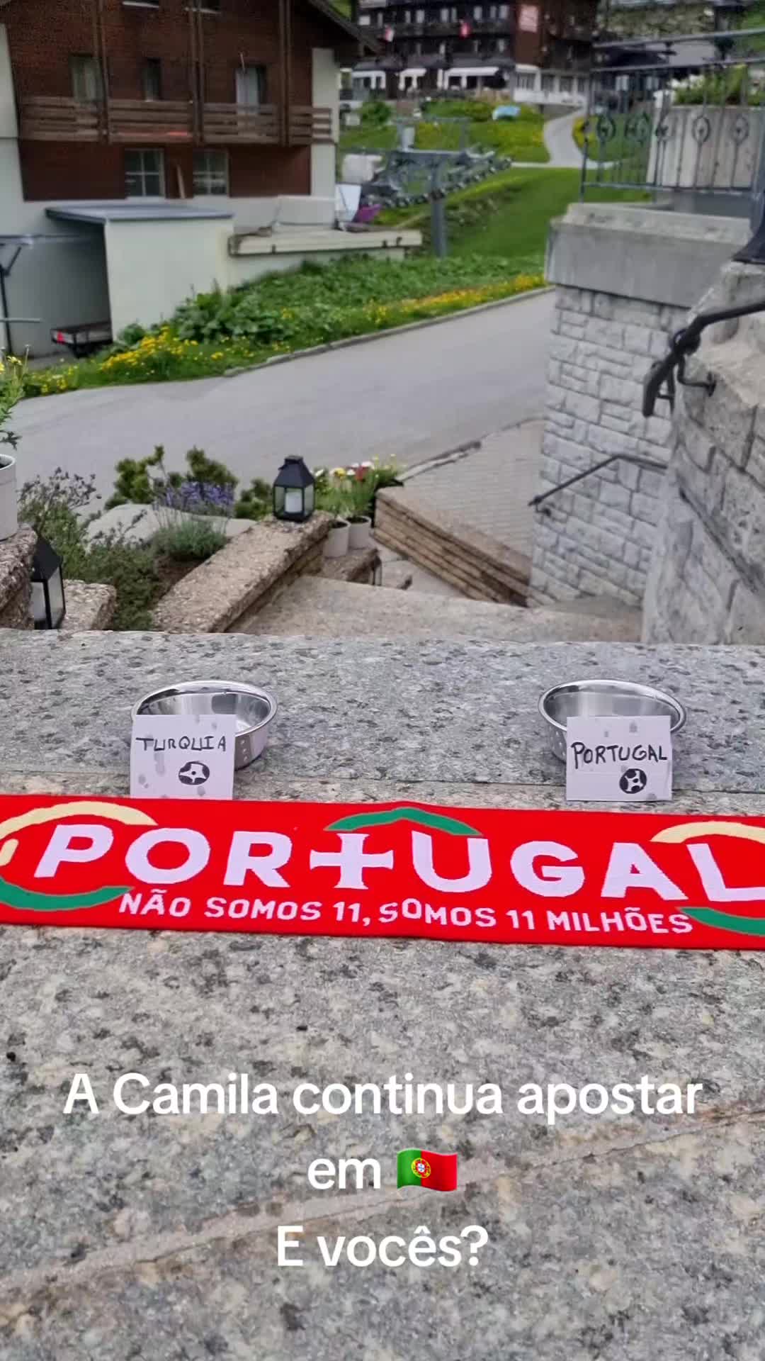 @Camila, a Chihuahua