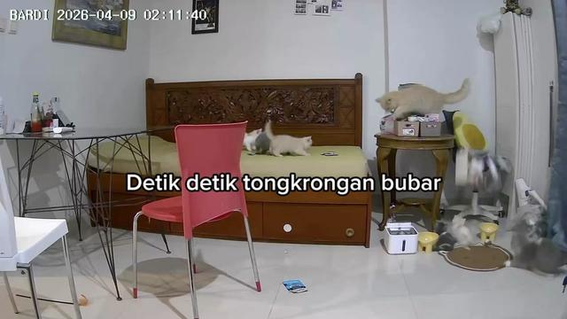 @Yasmin
