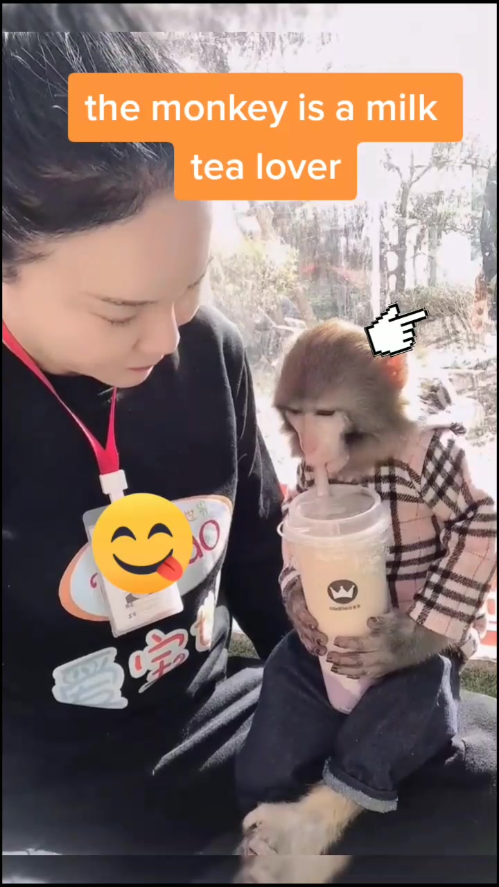 @petlove