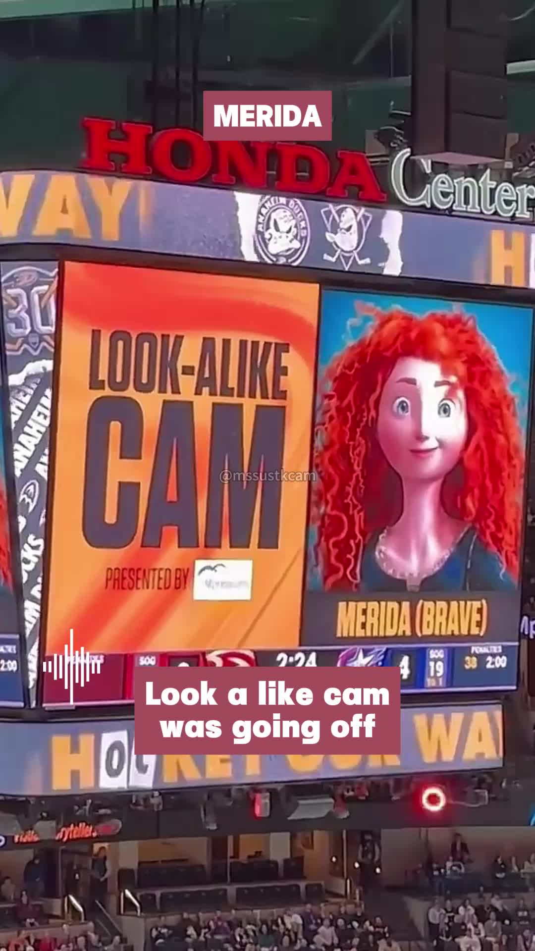 @mssUStkcam