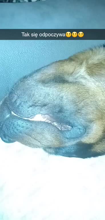 @eelkaa1988wp.pl
