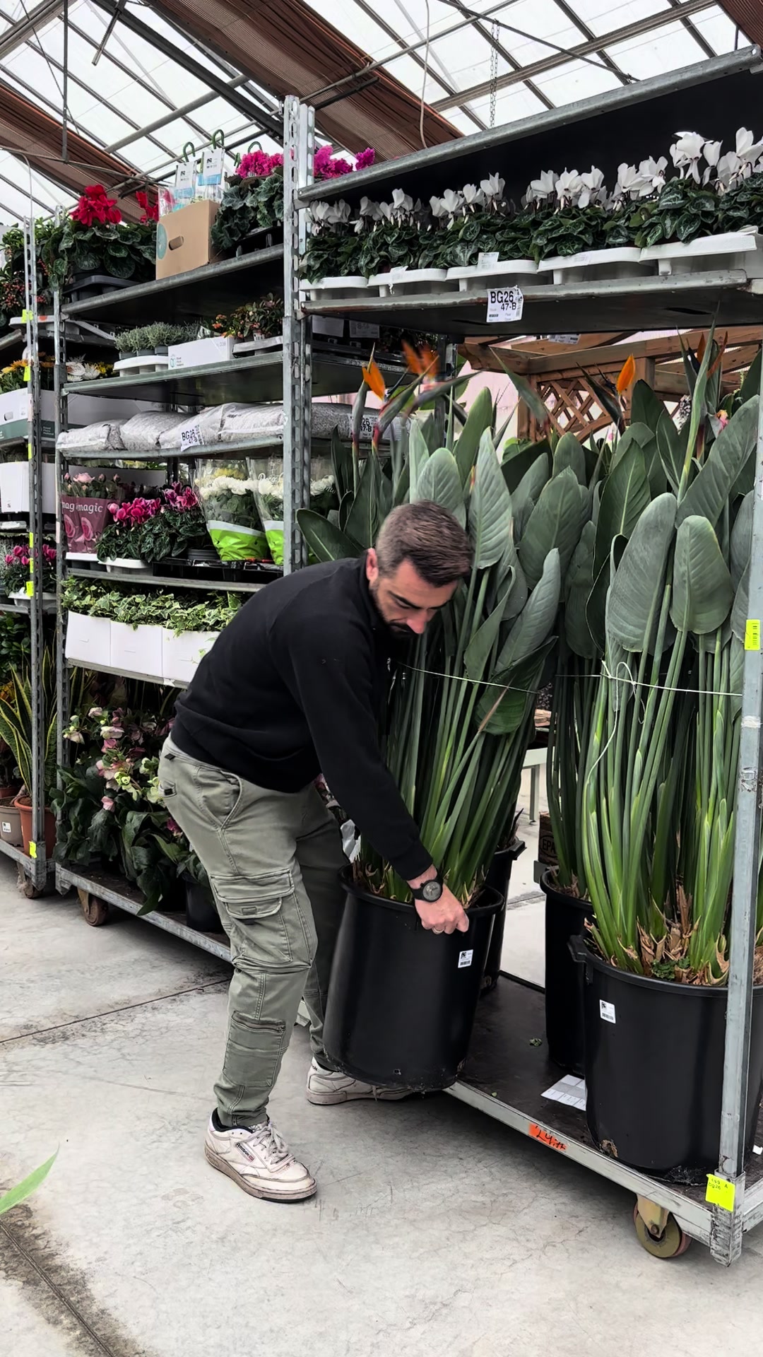 @Garden Center Brioli