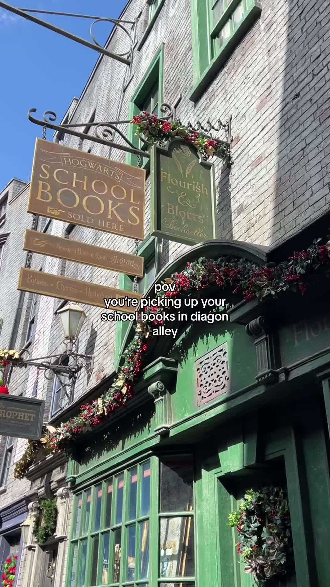 @⚯͛▕⃝⃤ POV Wizarding World
