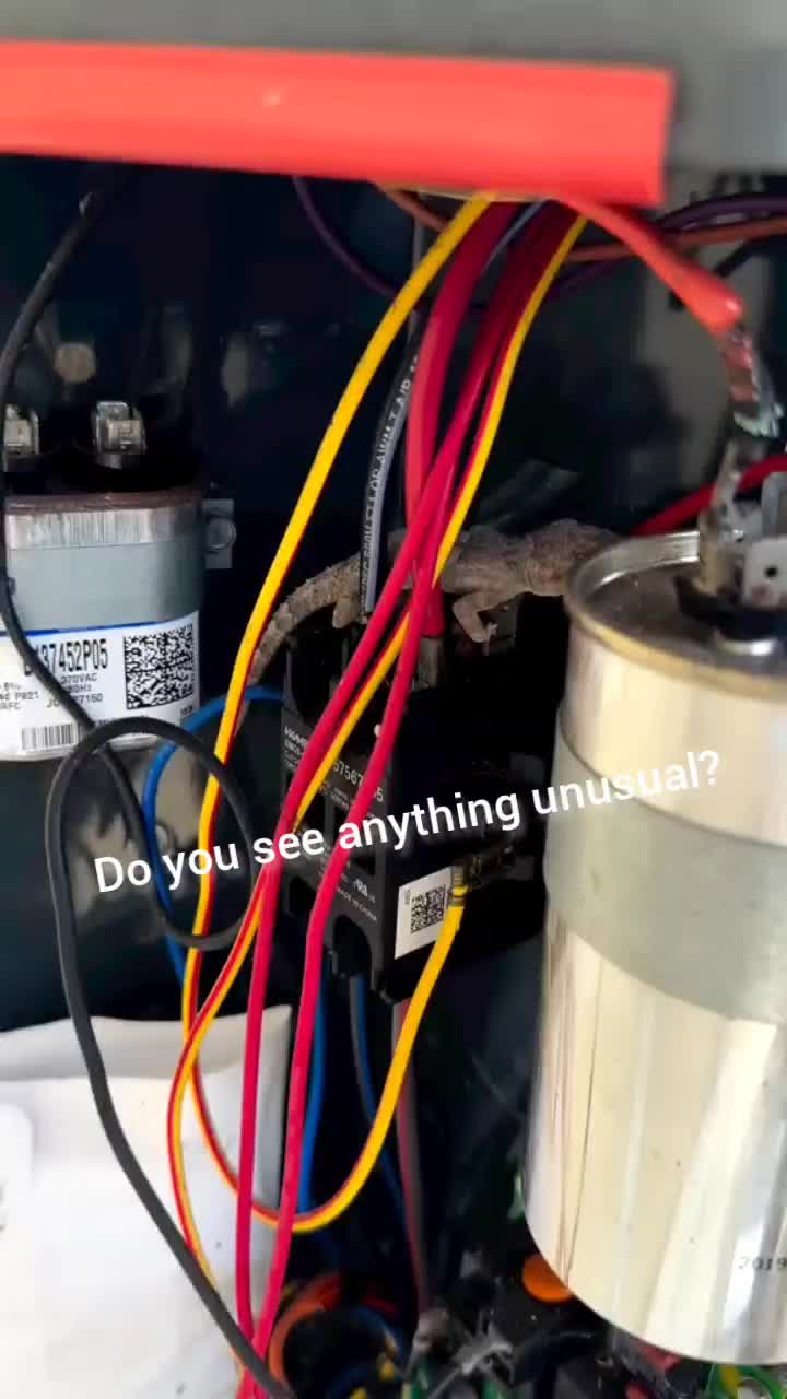 @SMARTHOMEVH