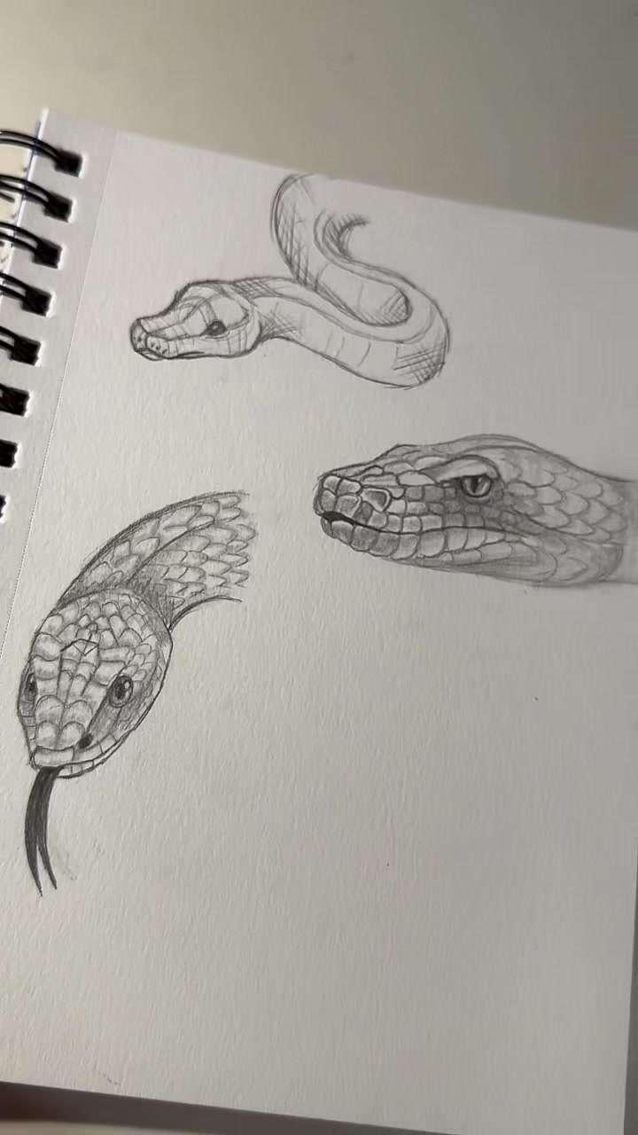@Always Alyssa Art