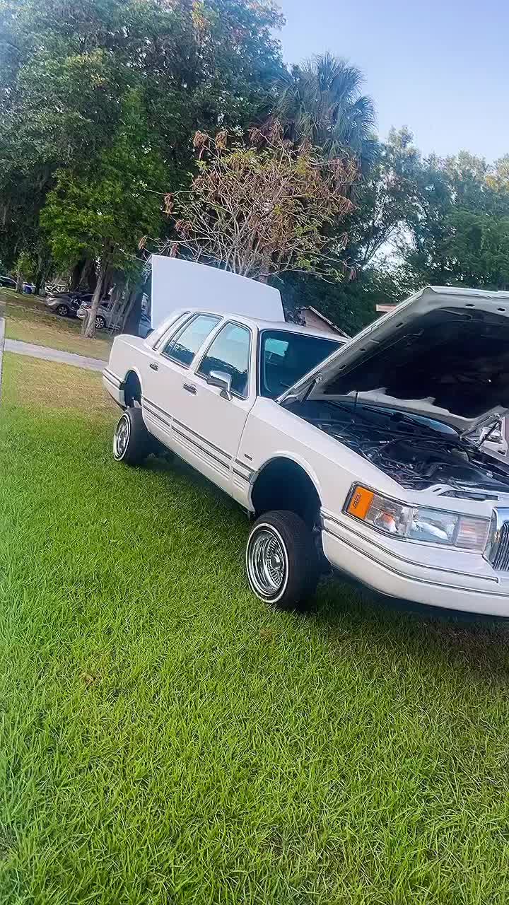 @1995dogmoney