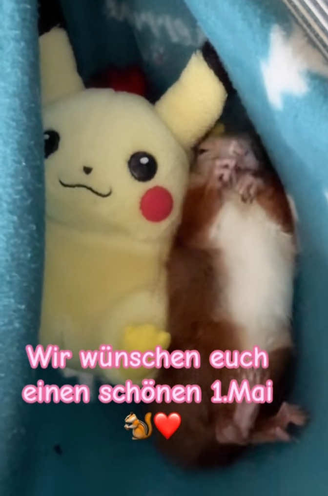 @Jenny&Skippi🐿️ TeamV🐿️u🦔🏰