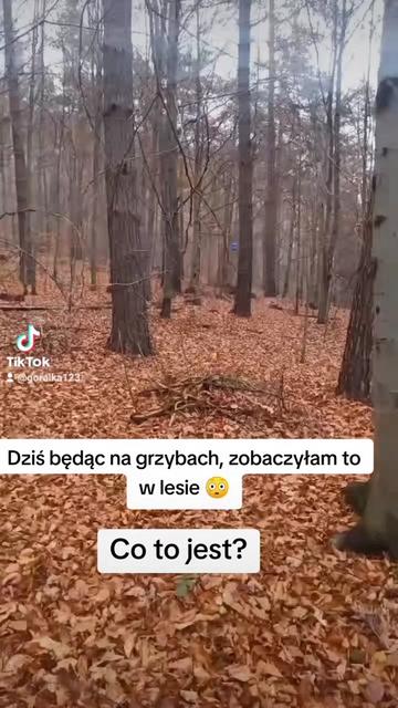 @🇵🇱❤ g&oacute;raleczka ❤🇵🇱