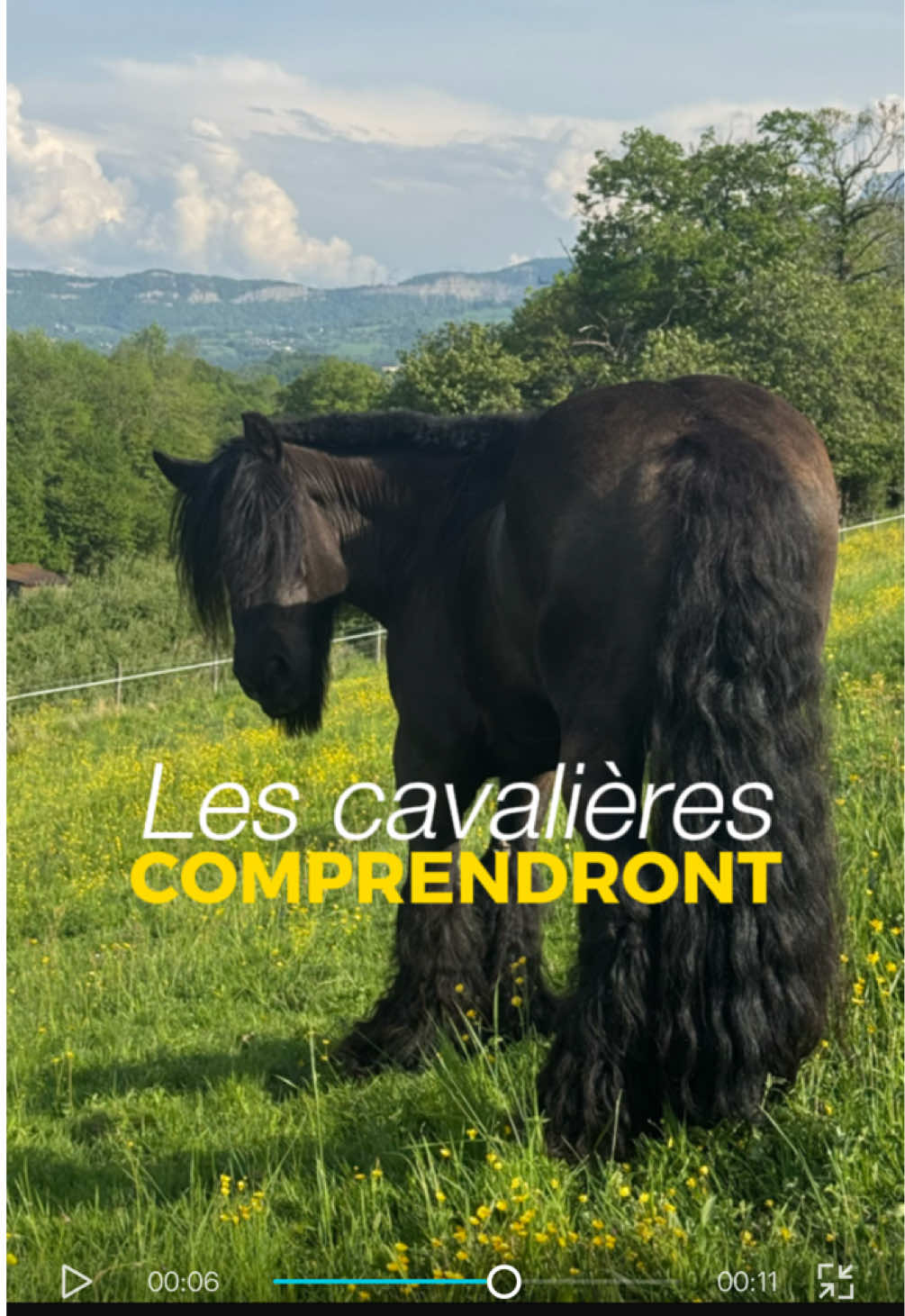@Untraitdecheval