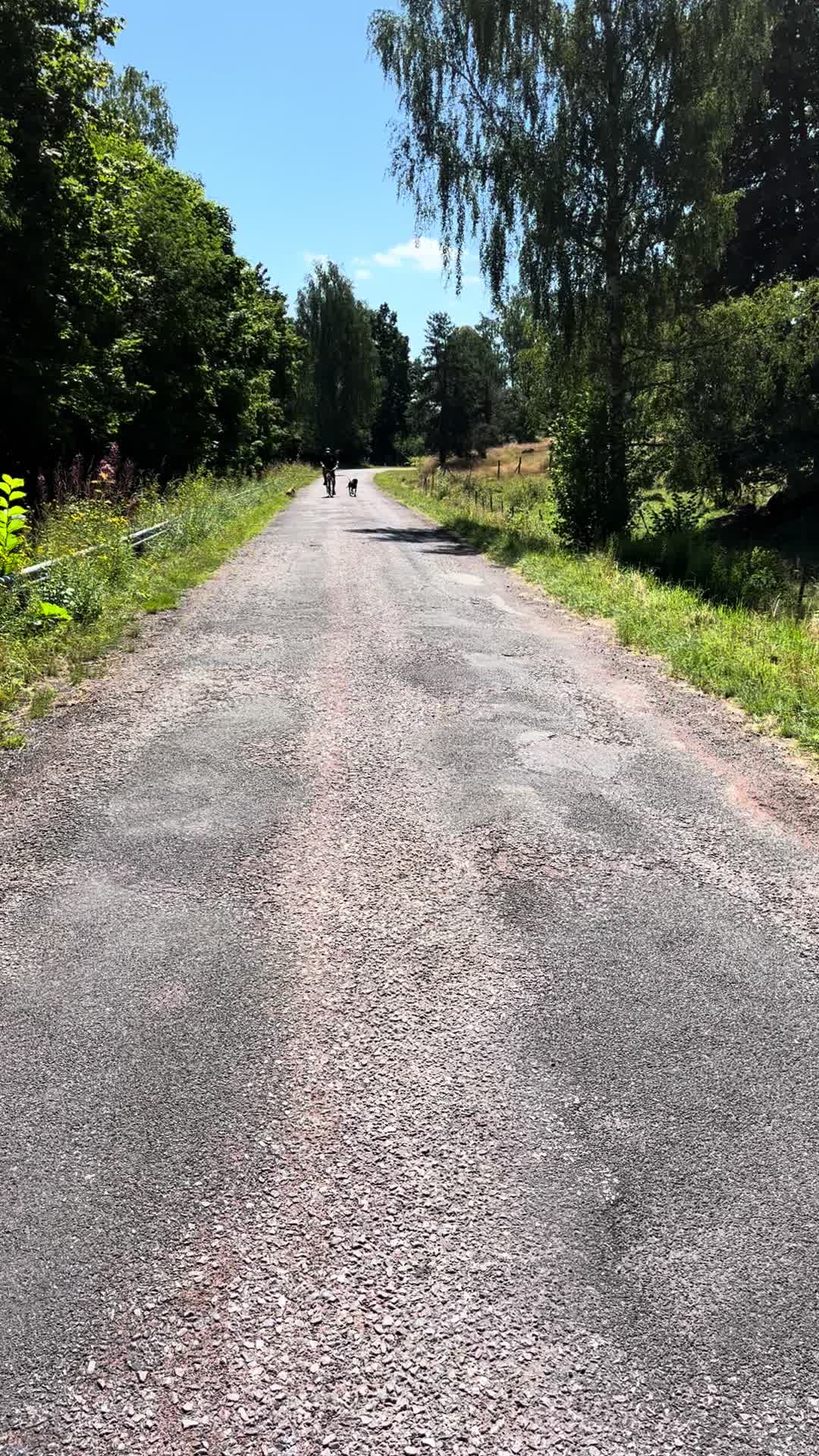 @Lajf84_skog_jakt