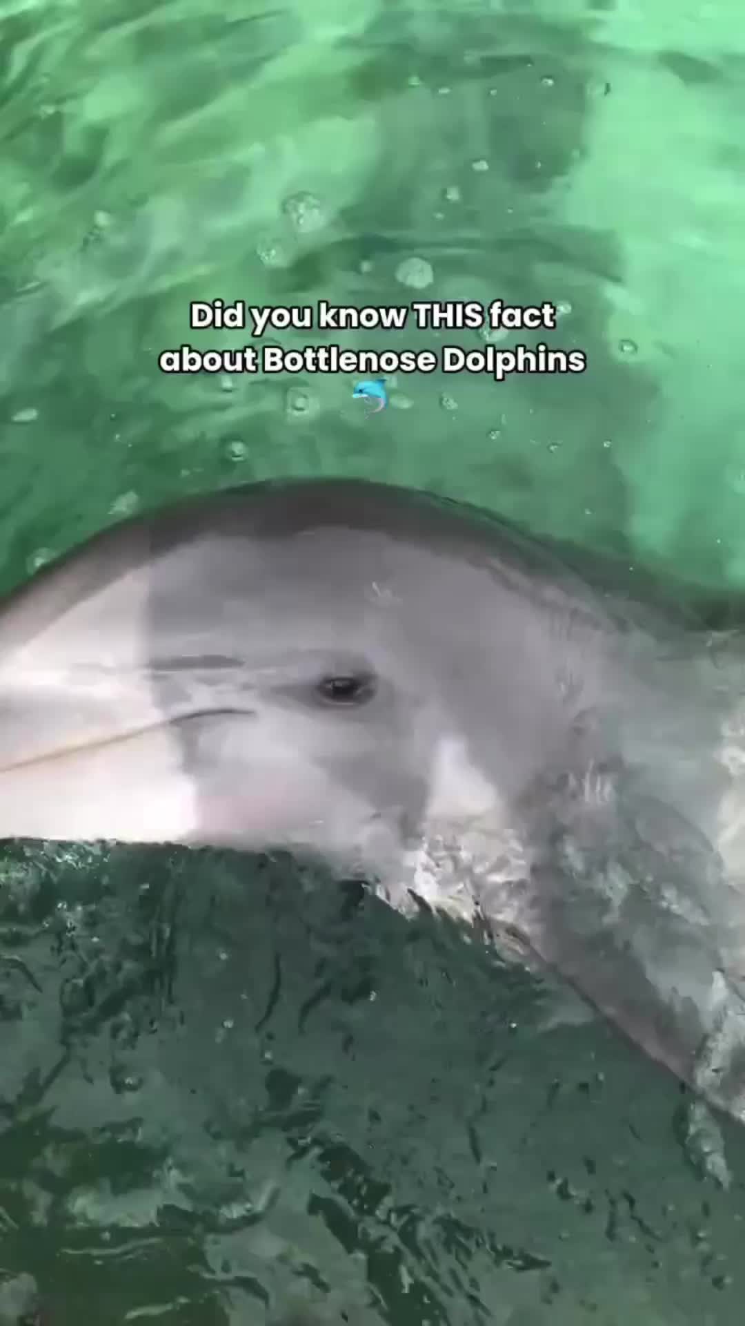 @Divernowmarine
