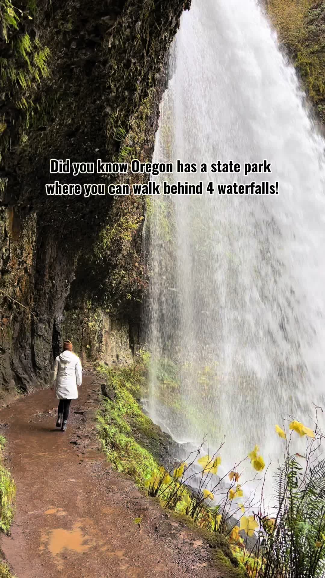@Elizabeth.adventures