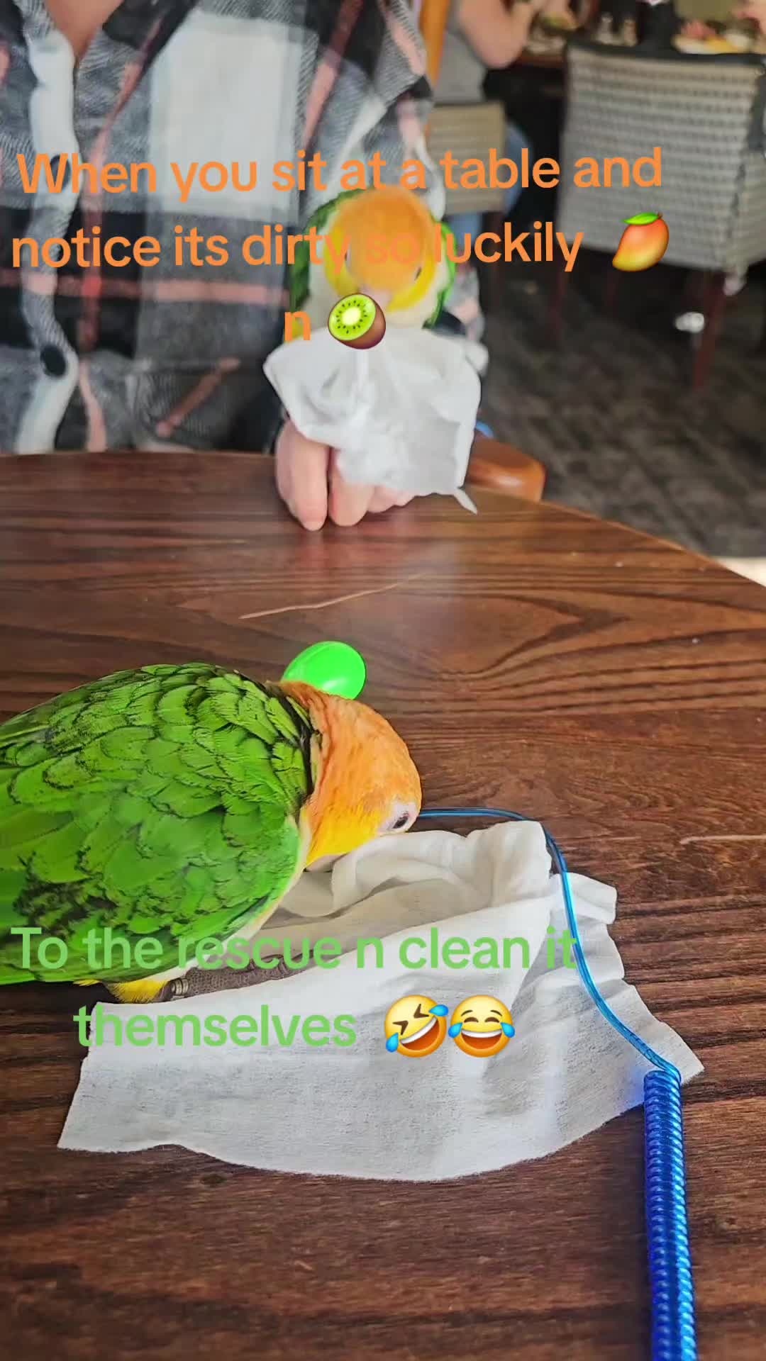 @🥭 🥝 🌶 🥥