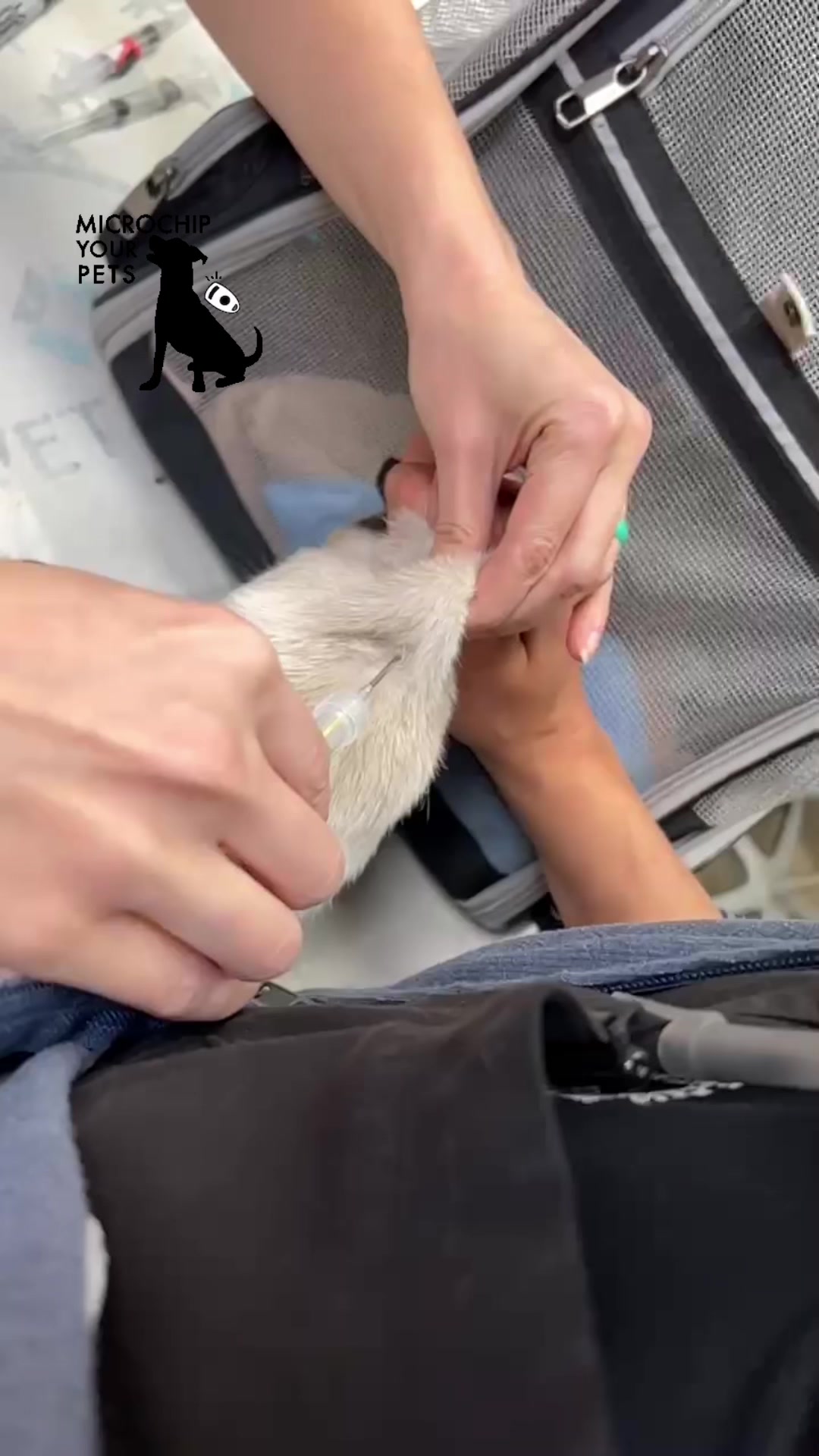 @Ramona Pets