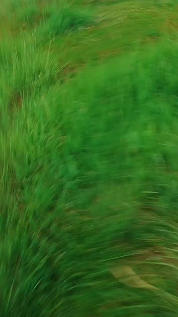@Юный альфавод🏍️