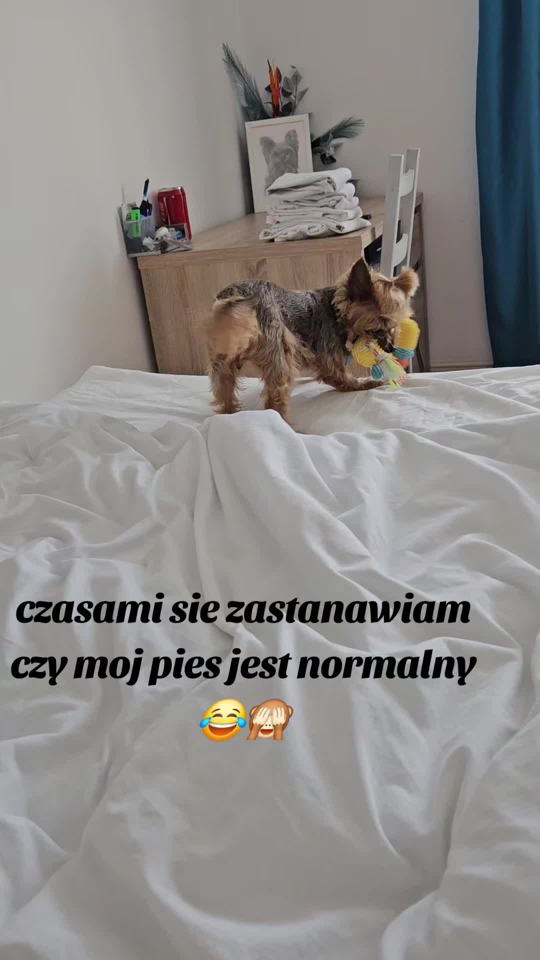 @Ewelina Bednarska